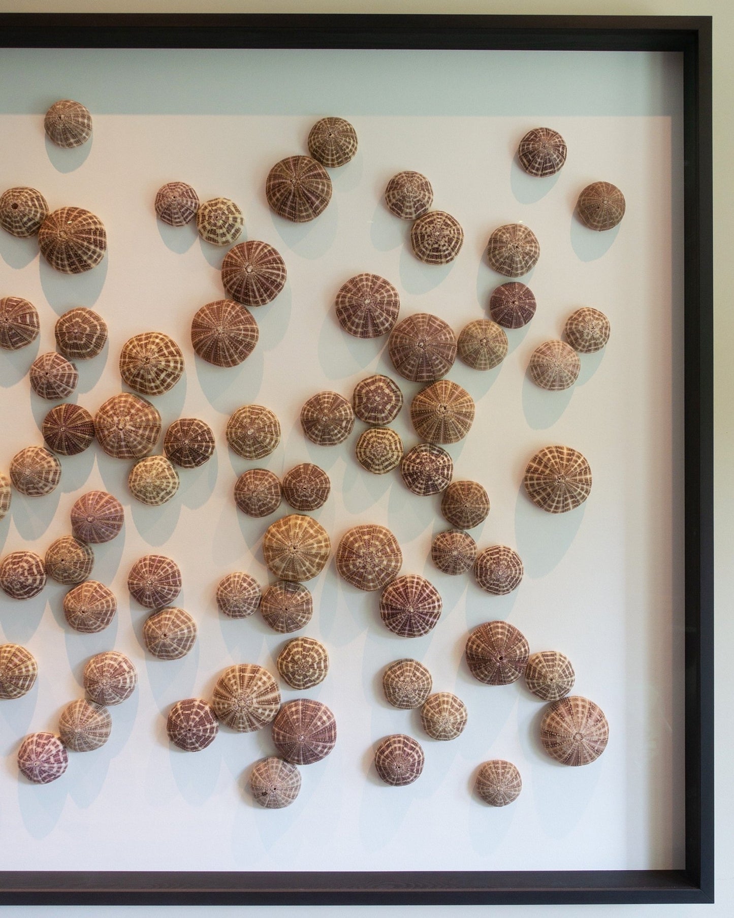 AS ABOVE SO BELOW | Wall decoration, 1 of 1 | Shellman | Amsterdam | Natural art from sea and beach