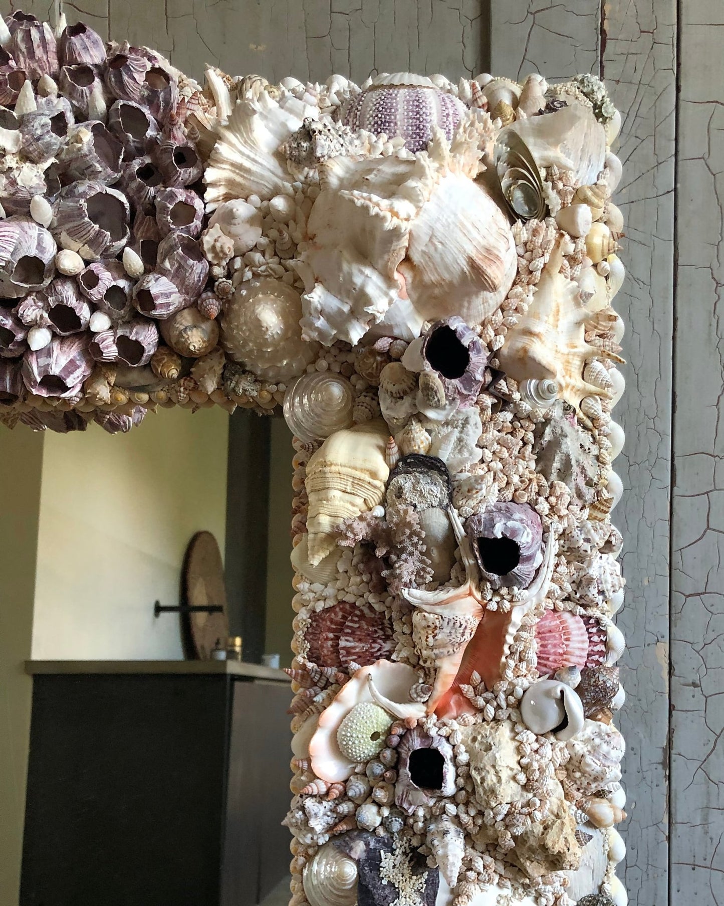 Black Holes | | Shellman | Amsterdam | Natural art from sea and beach