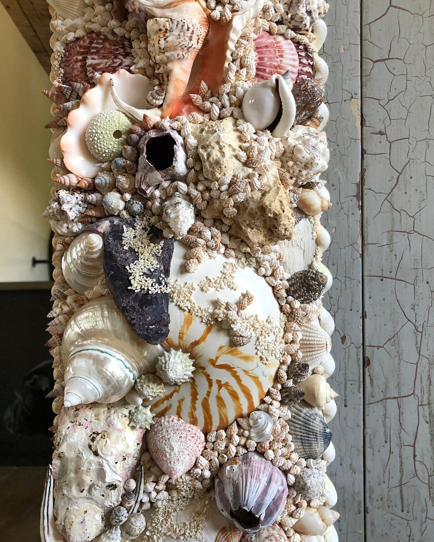 BLACK HOLES | Shell mirror, 1 of 1 | Shellman | Amsterdam | Natural art from sea and beach