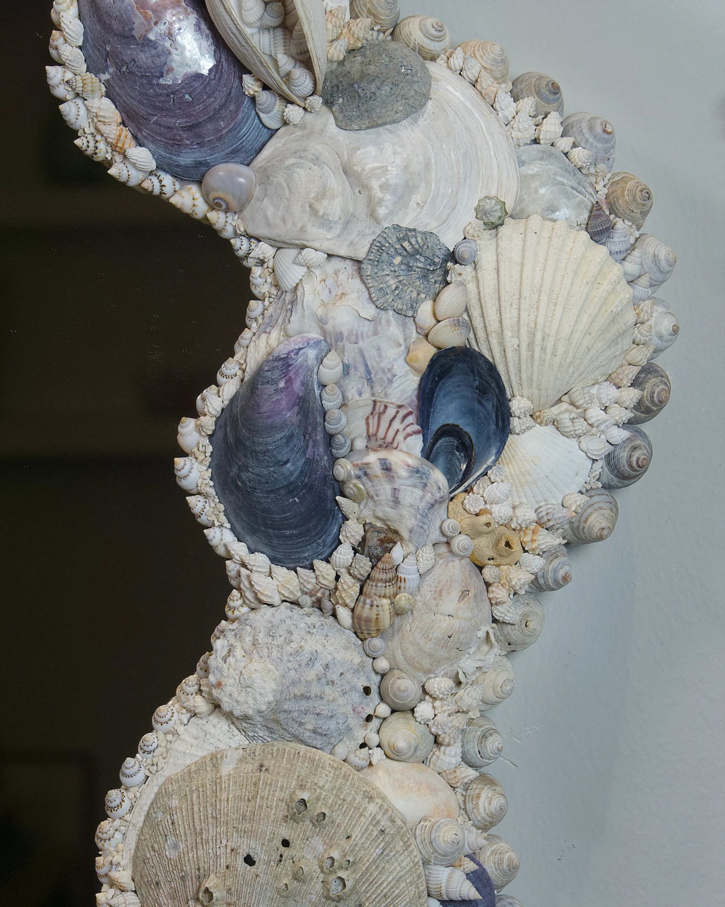 Bohus Bows | | Shellman | Amsterdam | Natural art from sea and beach