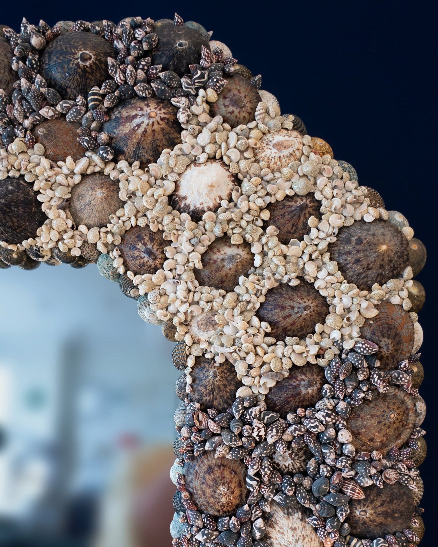 Cutting Corners Limpets | Shell mirror, 1 of 1 | Shellman | Amsterdam | Natural art from sea and beach