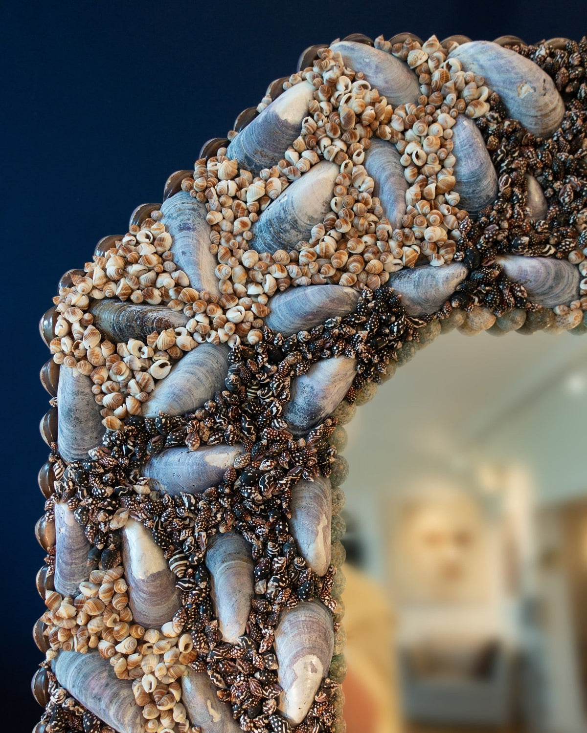 Corner detail of blue mussel shells and small spiral shells packed tight around the glass