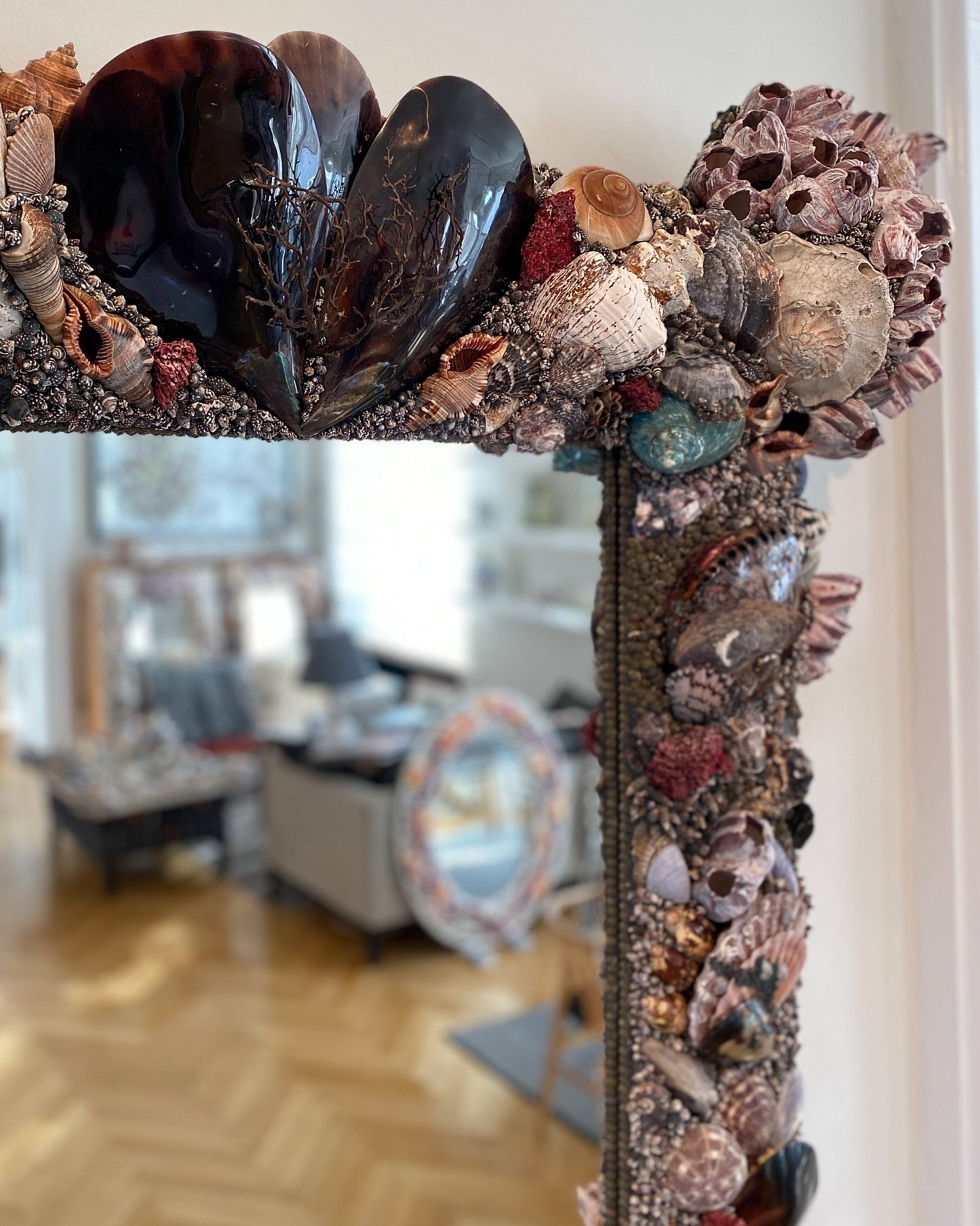 Dark Matter | | Shellman | Amsterdam | Natural art from sea and beach