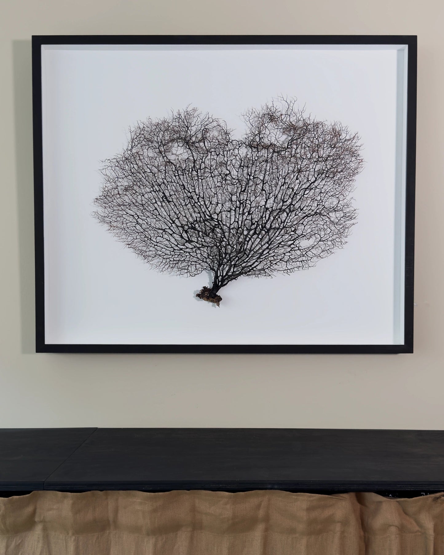 FAN OF SHELLMAN | Wall decoration, 1 of 1 | Shellman | Amsterdam | Natural art from sea and beach