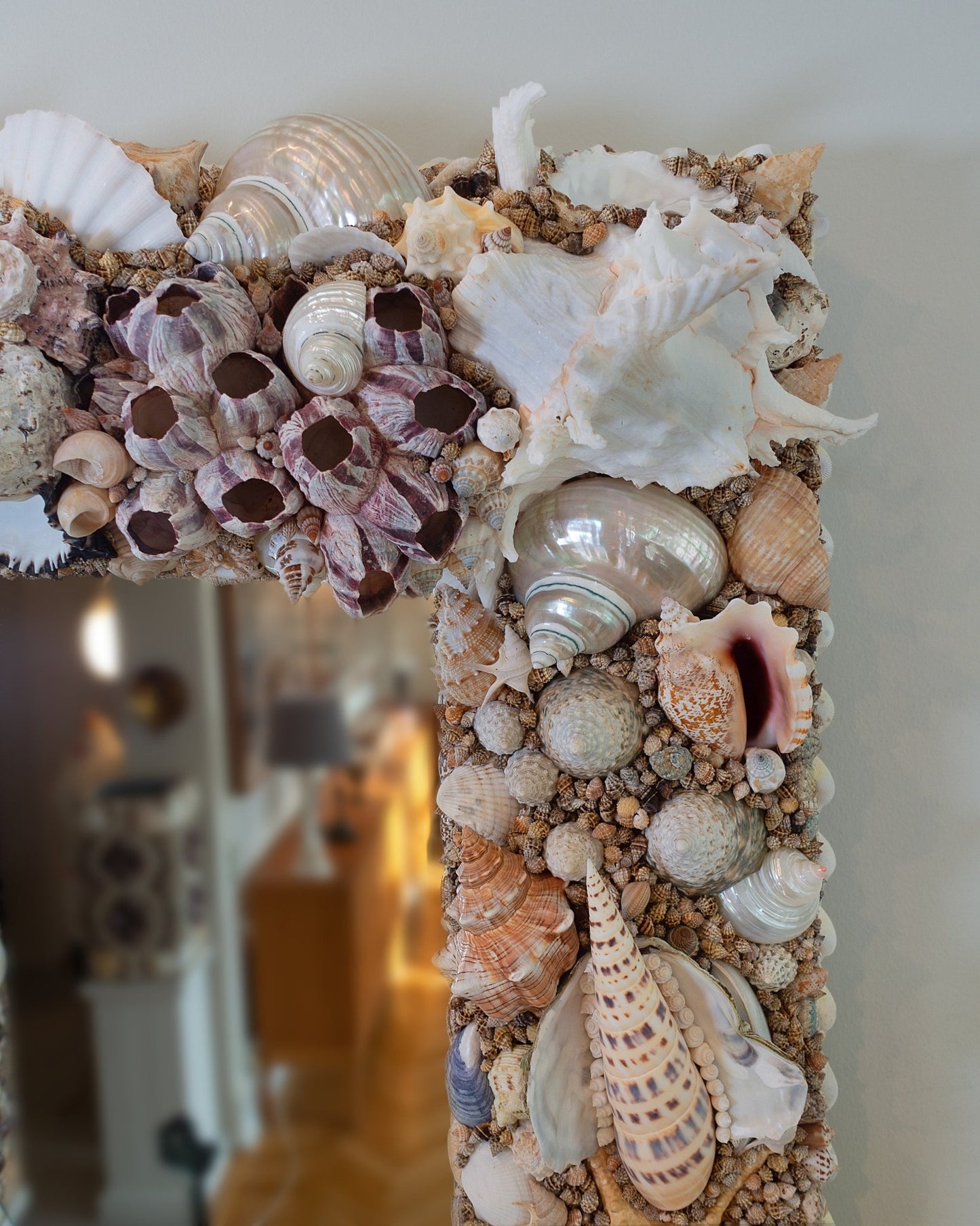 HÖLLVIKEN | | Shellman | Amsterdam | Natural art from sea and beach