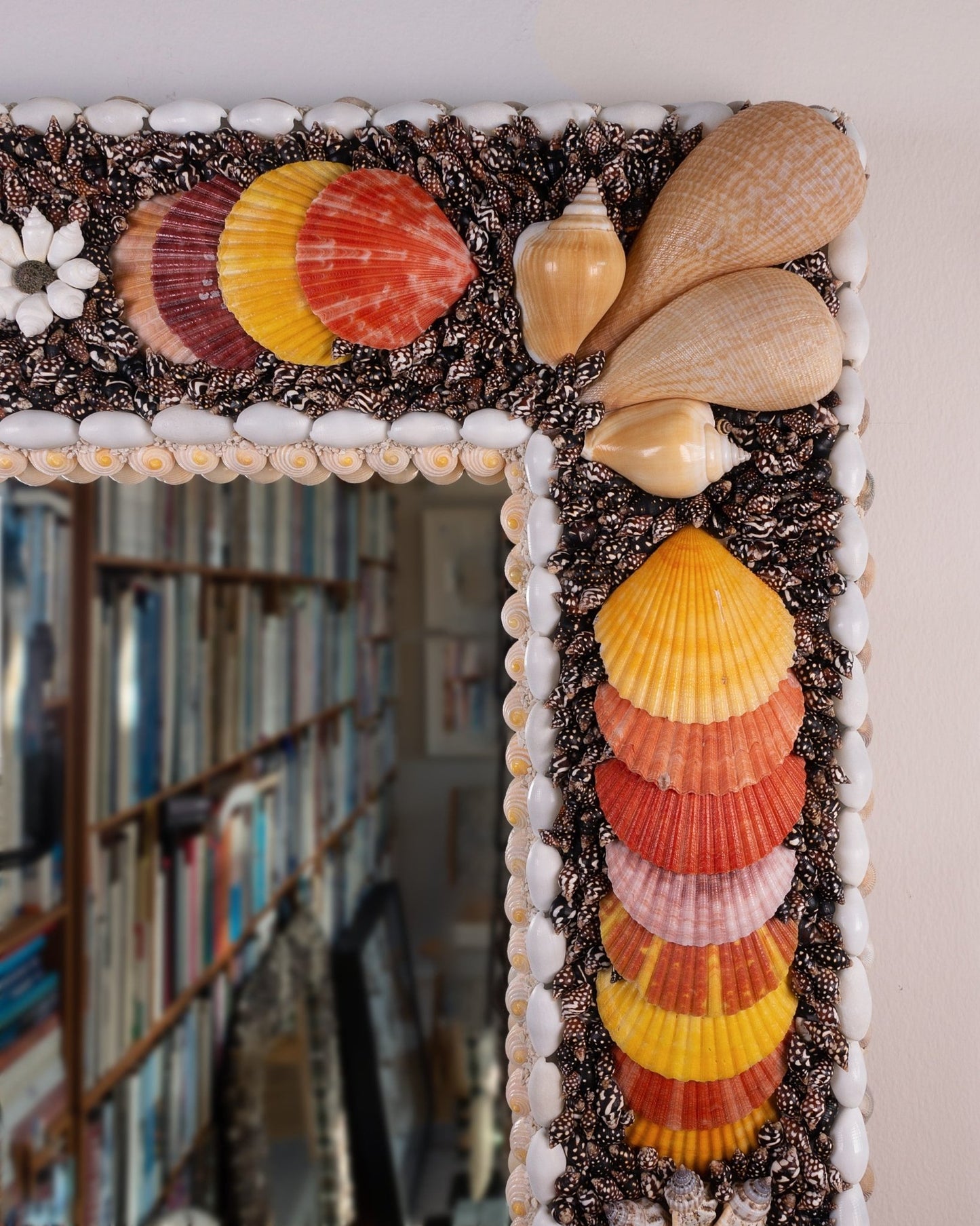 In splendid isolation | | Shellman | Amsterdam | Natural art from sea and beach