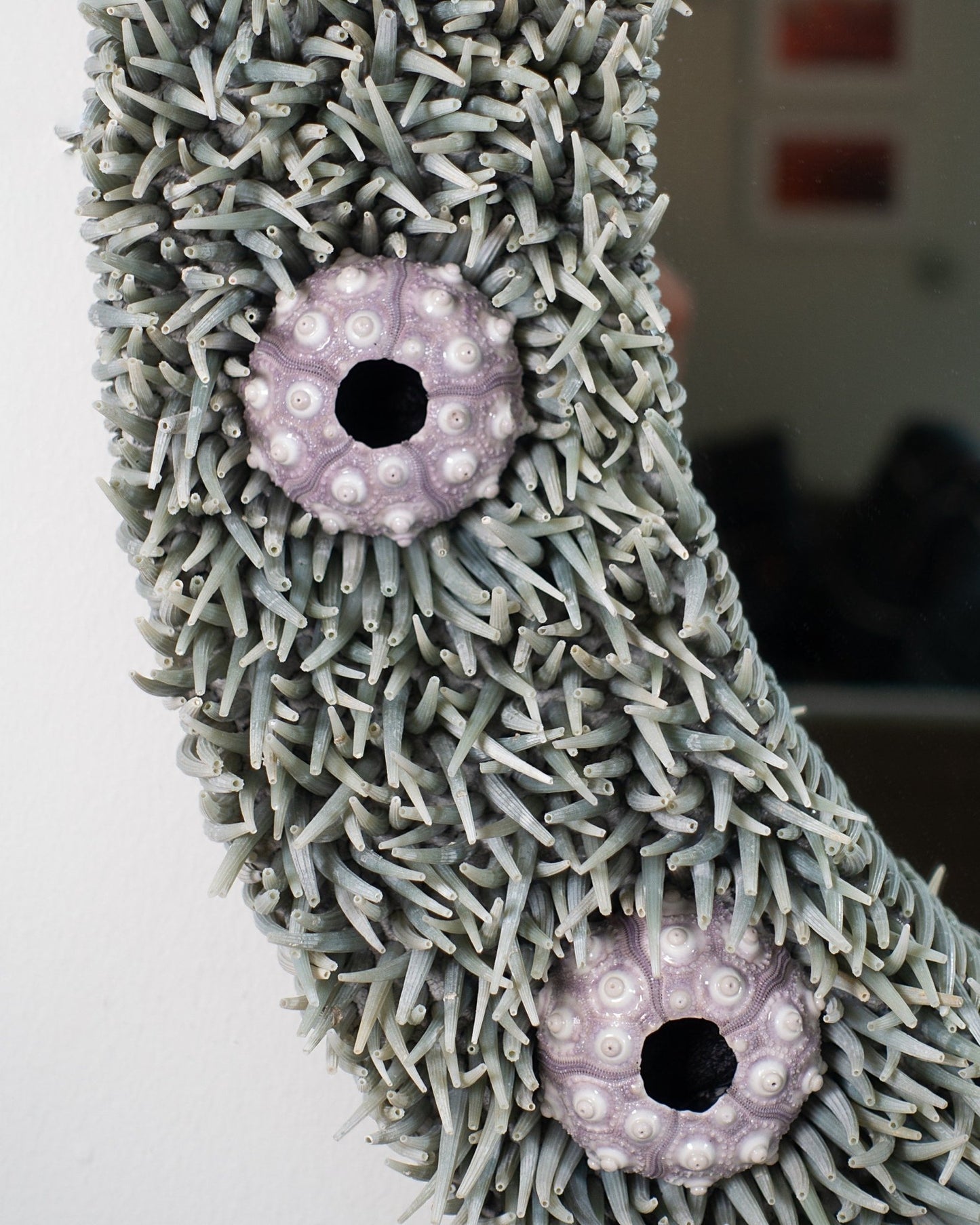 IN THE TALL GRASS | Shell mirror, 1 of 1 | Shellman | Amsterdam | Natural art from sea and beach