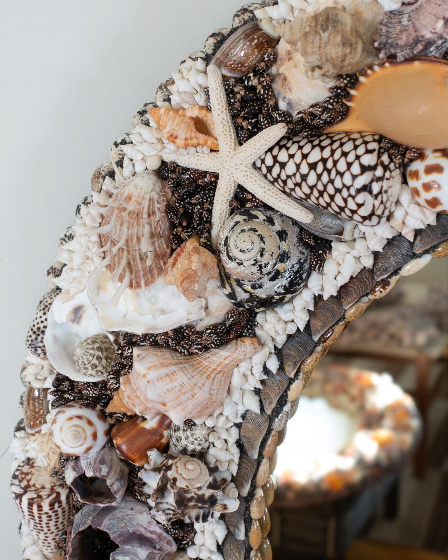 Let the light in | | Shellman | Amsterdam | Natural art from sea and beach