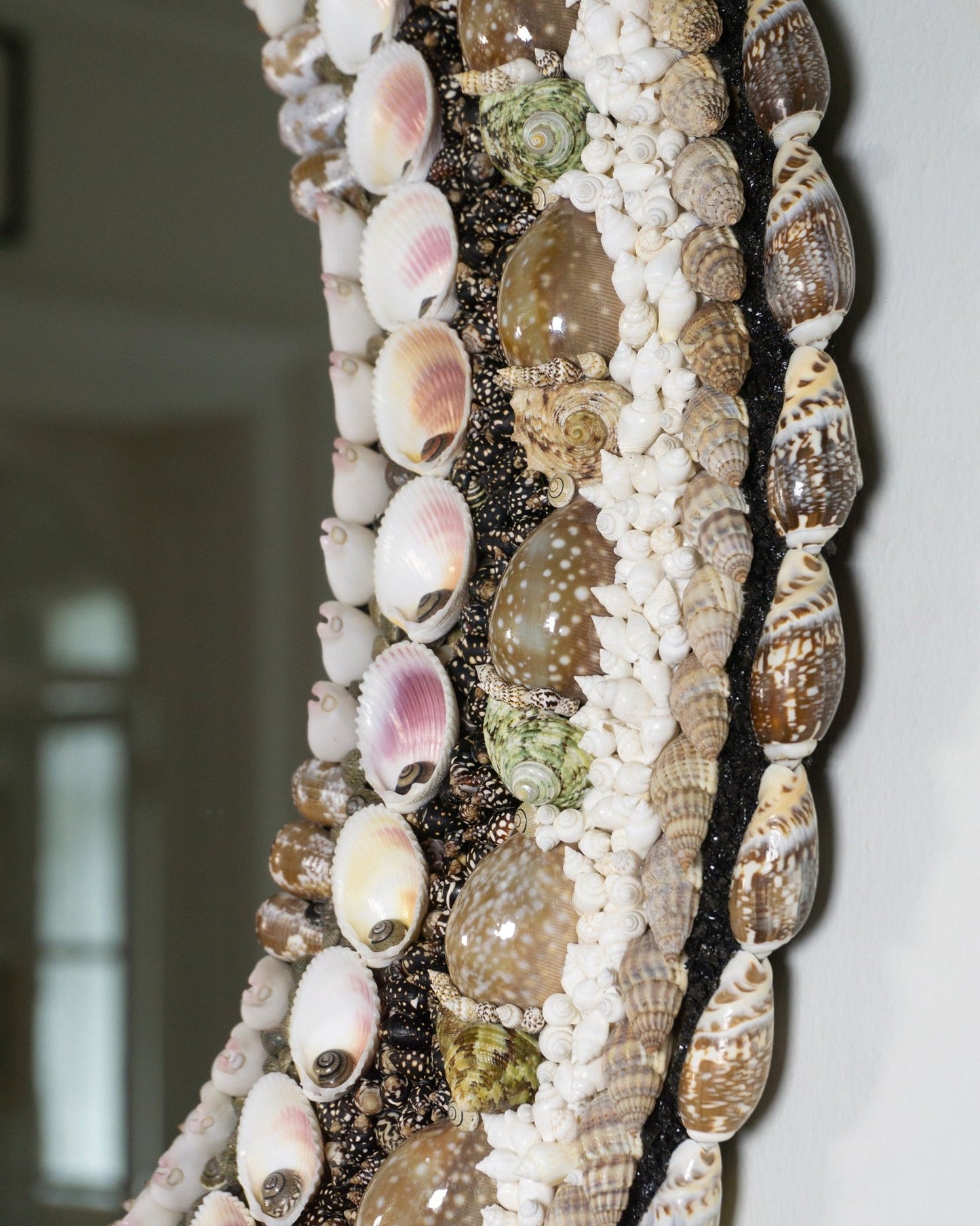May Weeks | | Shellman | Amsterdam | Natural art from sea and beach