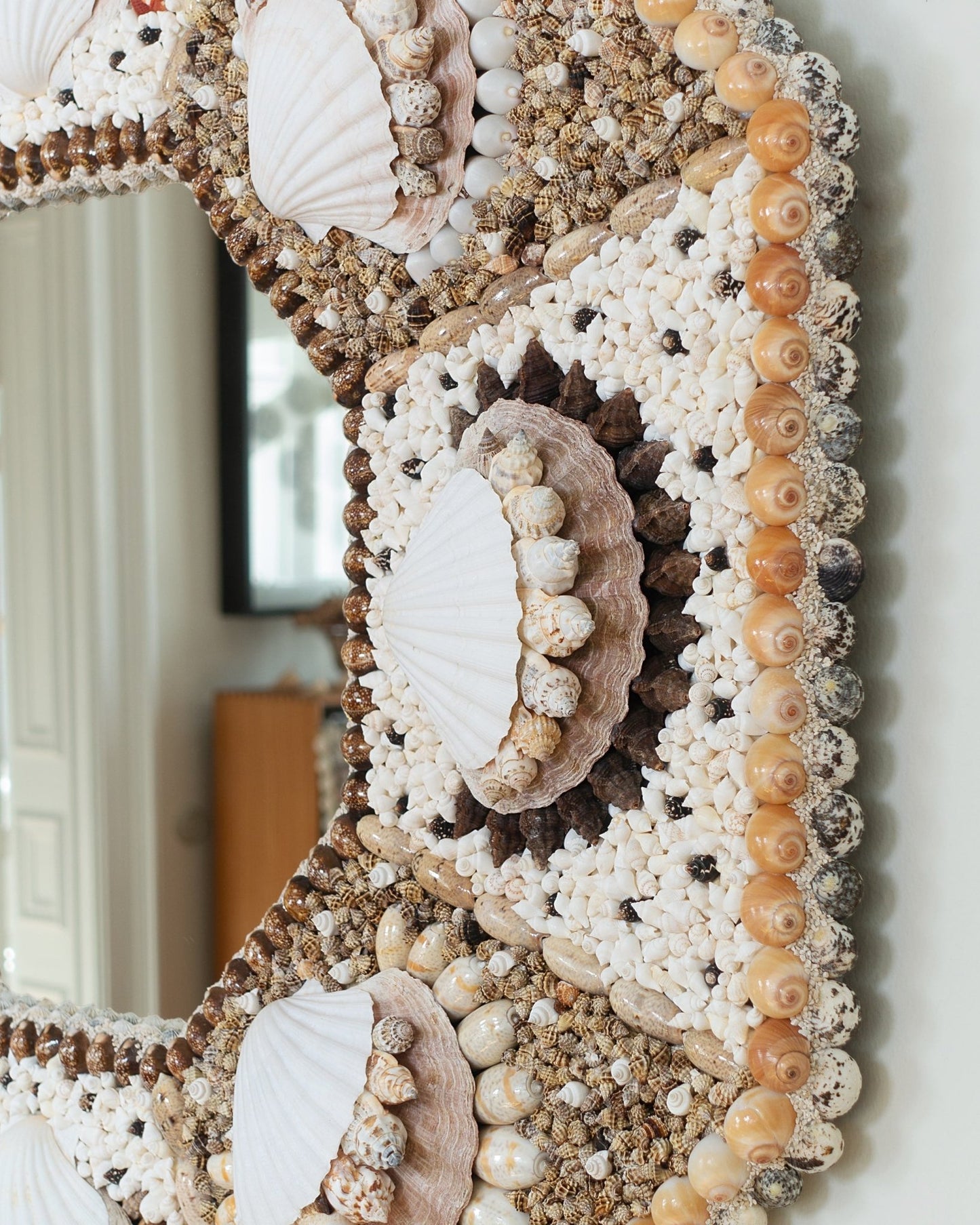 OCTACORONA | Shell mirror, 1 of 1 | Shellman | Amsterdam | Natural art from sea and beach