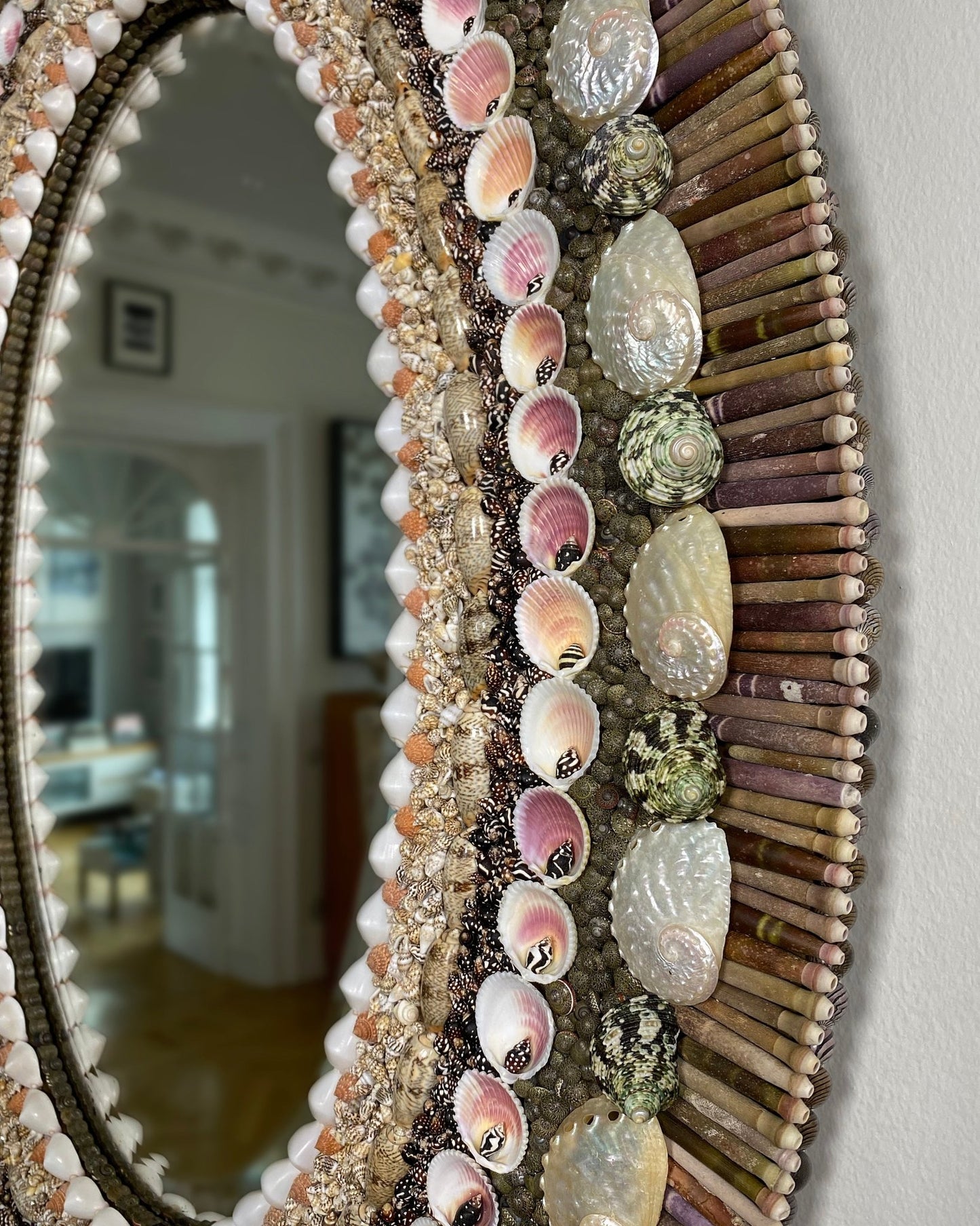 Oval decisions | Shellman | Amsterdam | Natural art from sea and beach