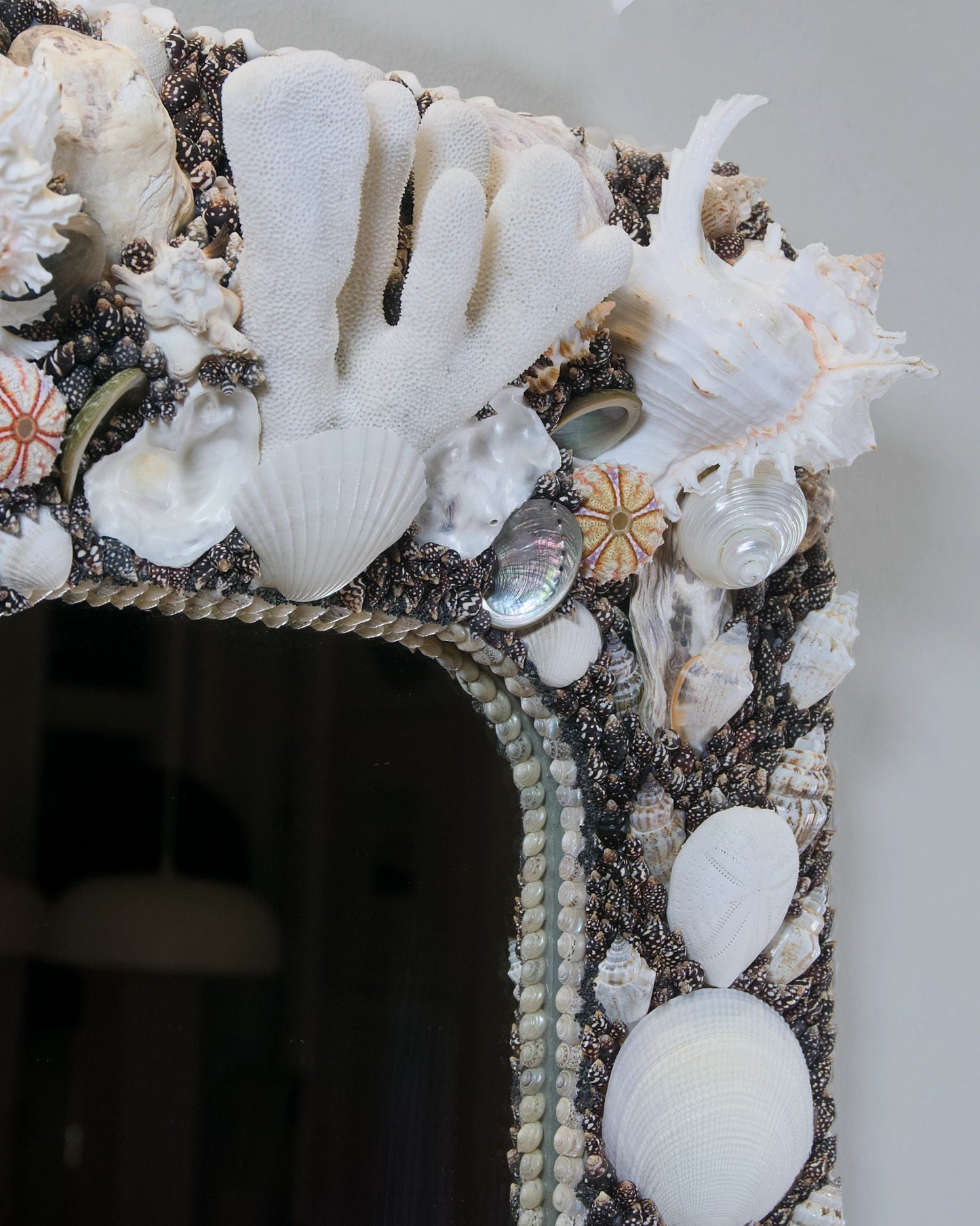 POLARIZED | Shell mirror, 1 of 1 | Shellman | Amsterdam | Natural art from sea and beach