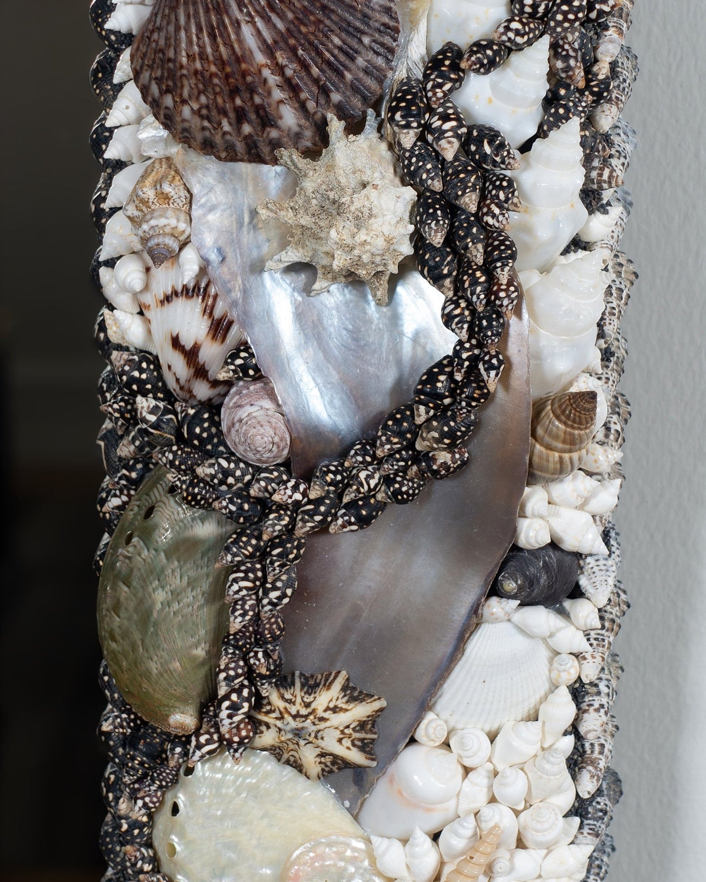 PRO CONTRA | Shell mirror, 1 of 1 | Shellman | Amsterdam | Natural art from sea and beach