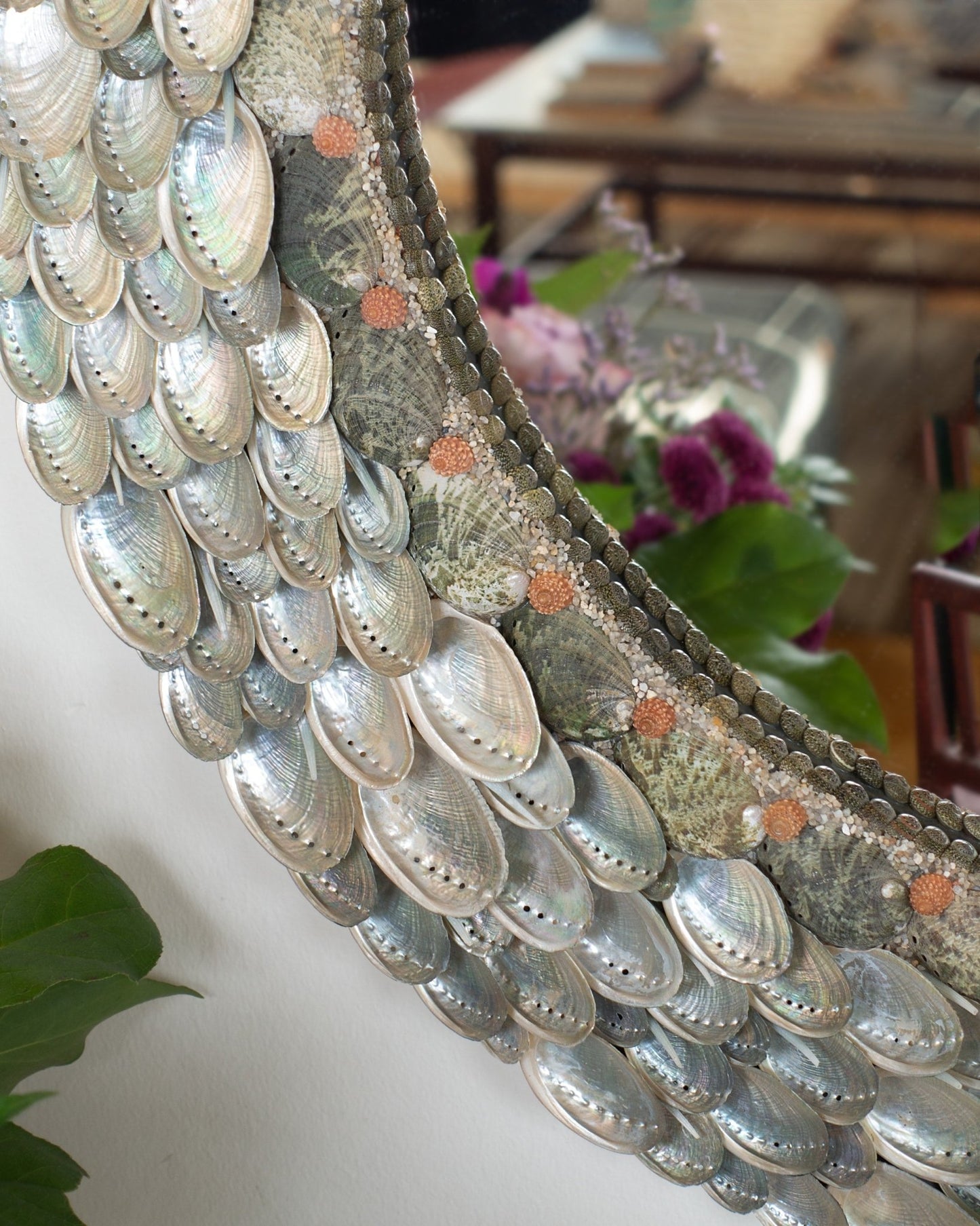 RED TOPS | Shell mirror, 1 of 1 | Shellman | Amsterdam | Natural art from sea and beach