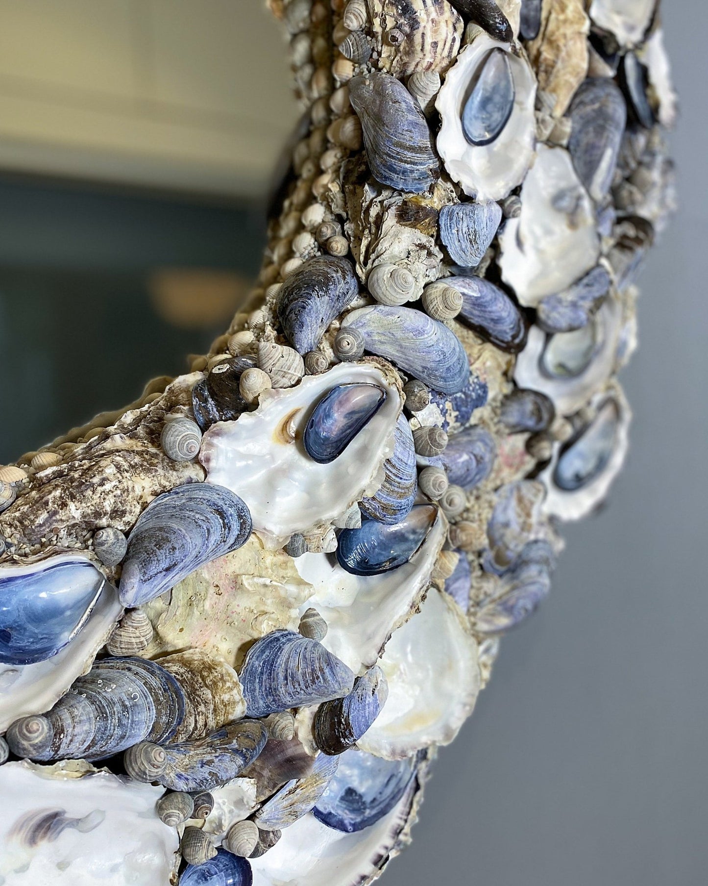 ROUND LITTORINA | Shell mirror, 1 of 1 | Shellman | Amsterdam | Natural art from sea and beach