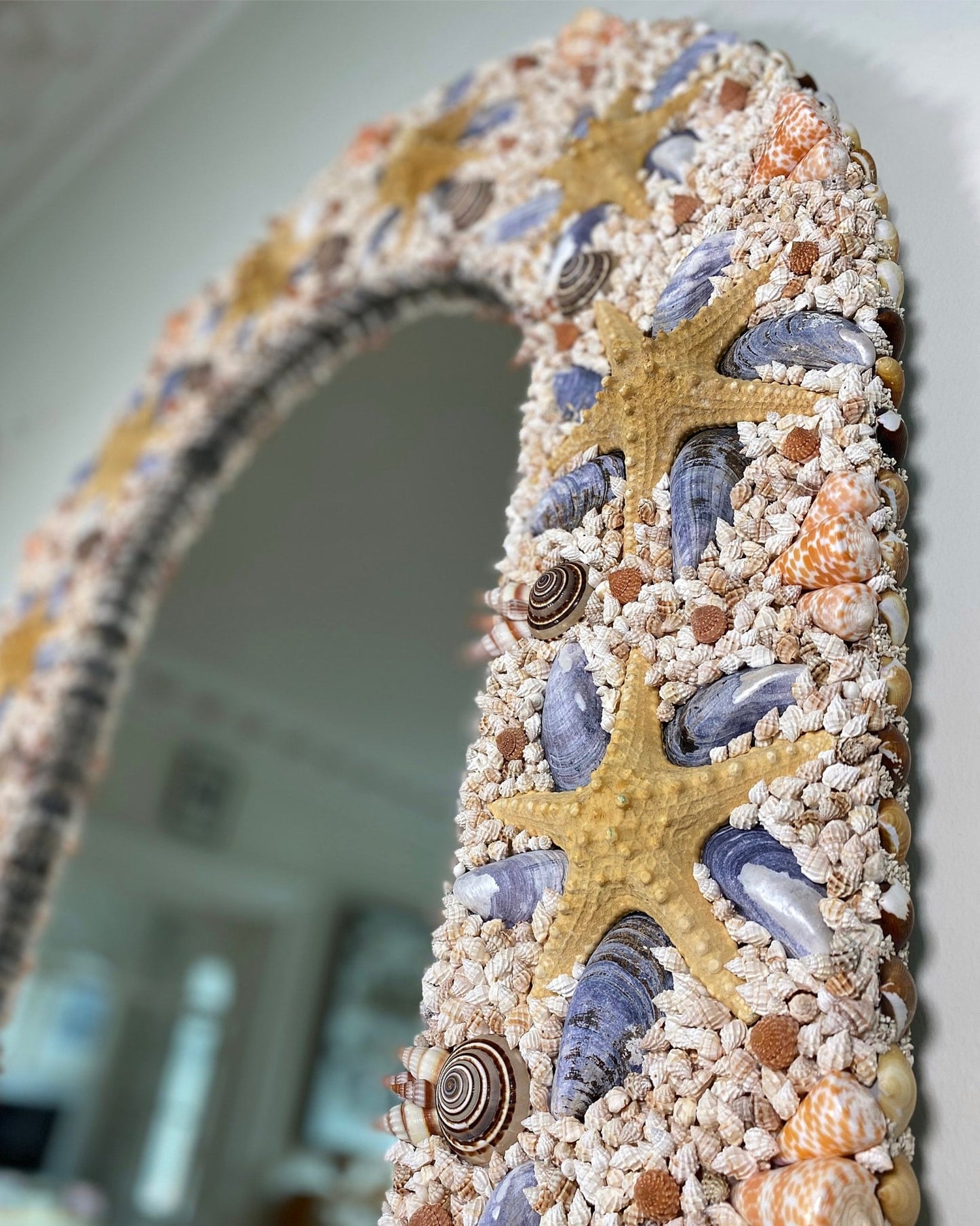 STARSTRUCK | Shell mirror, 1 of 1 | Shellman | Amsterdam | Natural art from sea and beach