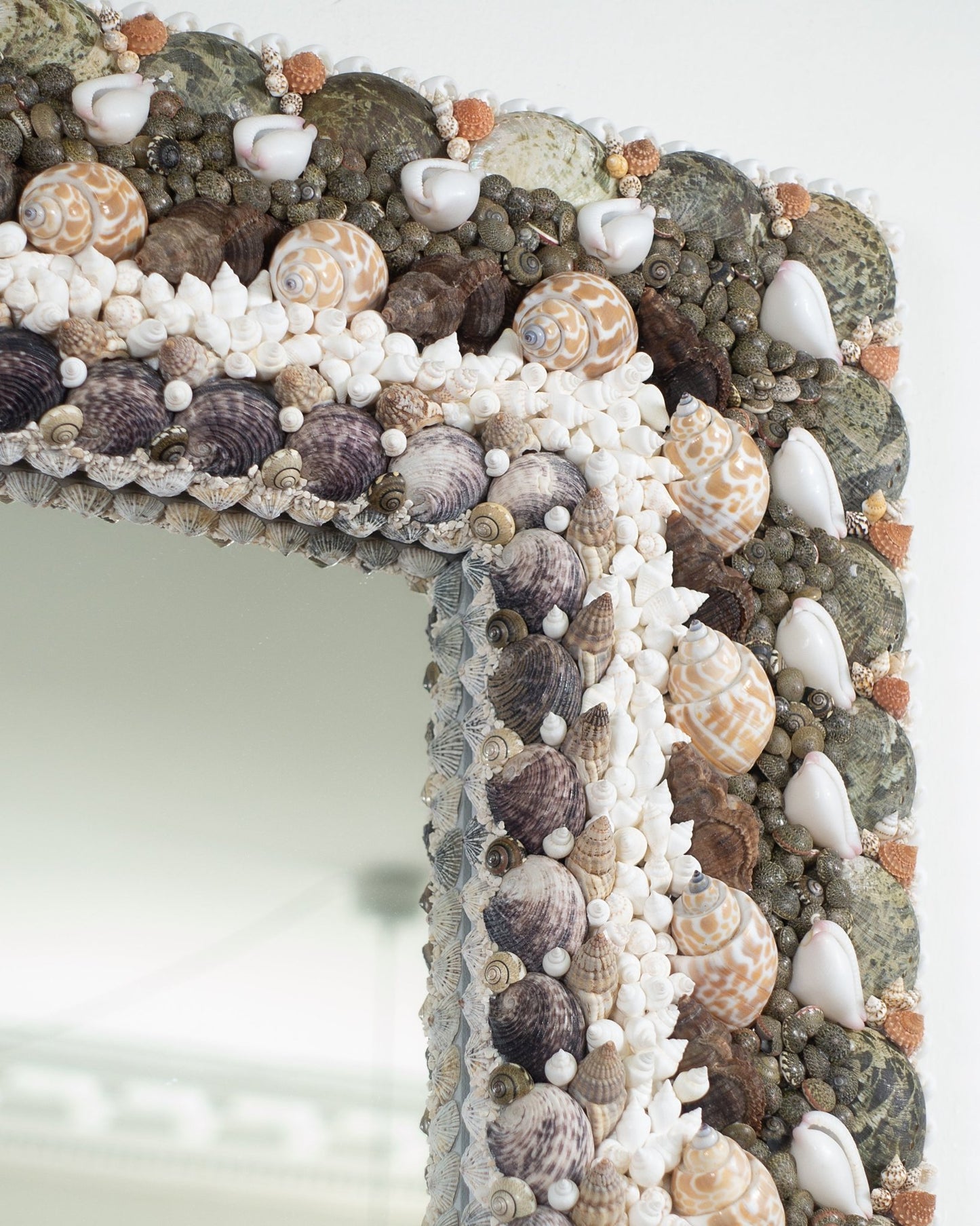 Straight Lines | | Shellman | Amsterdam | Natural art from sea and beach