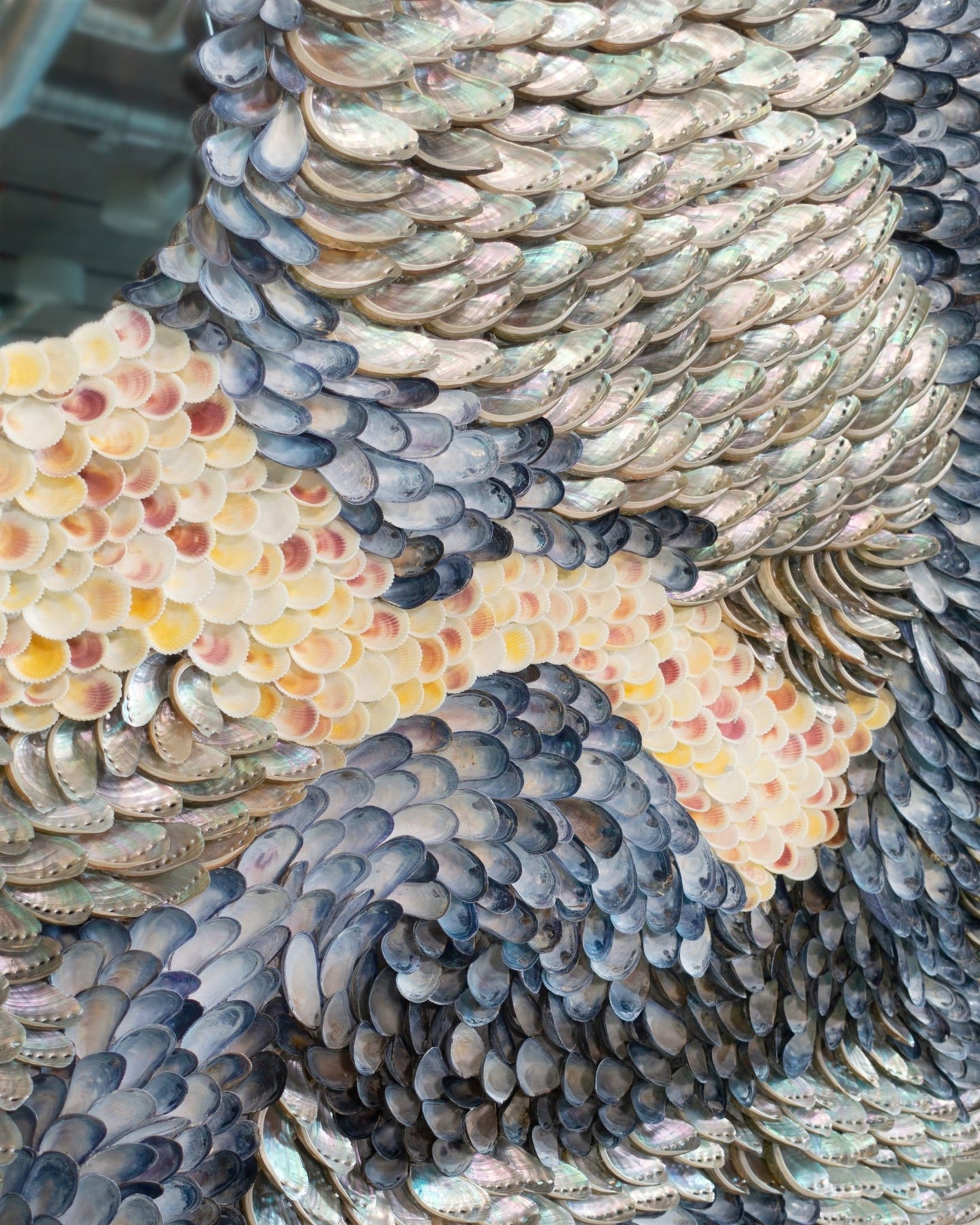 The Flow | | Shellman | Amsterdam | Natural art from sea and beach