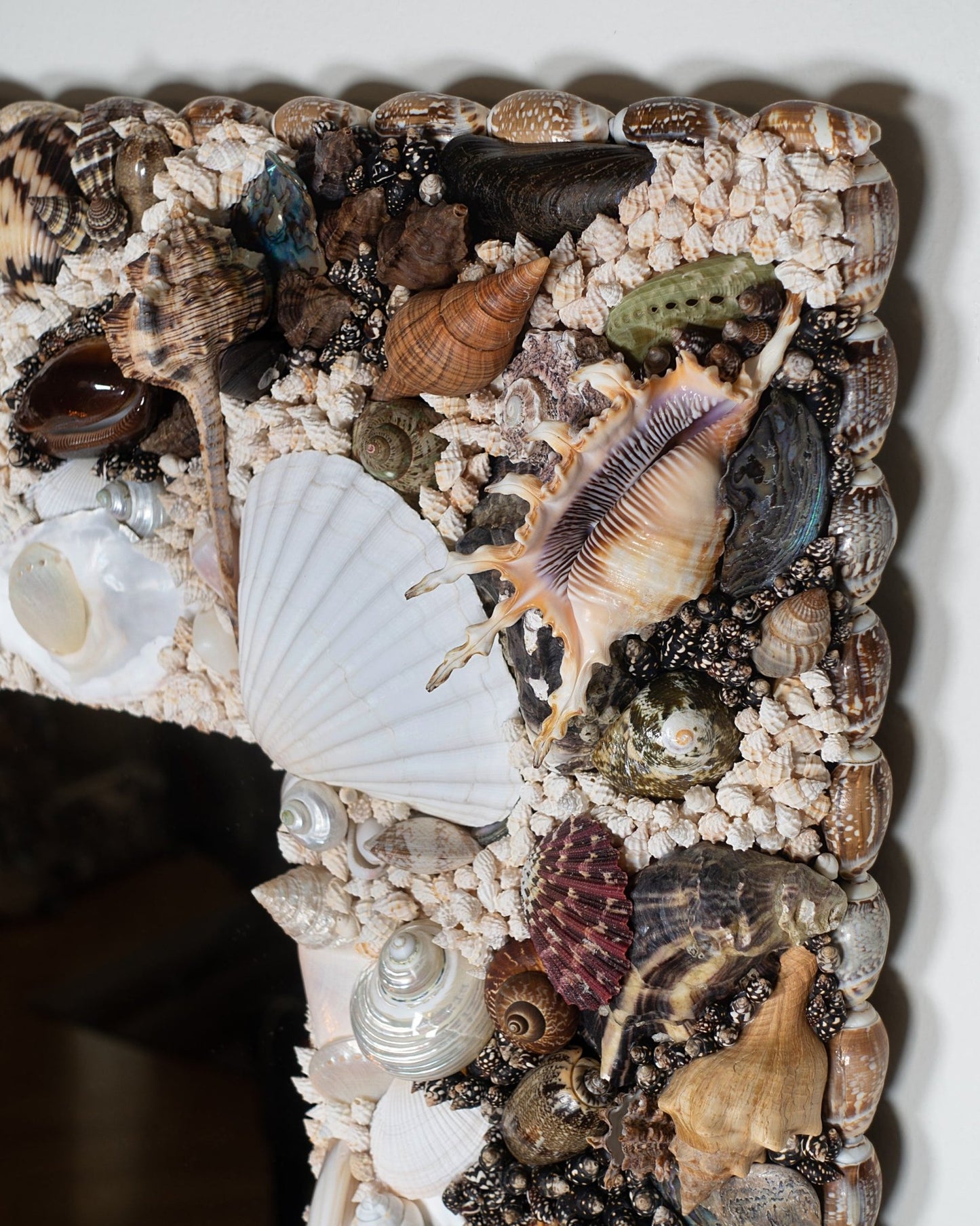 White rivers | | Shellman | Amsterdam | Natural art from sea and beach