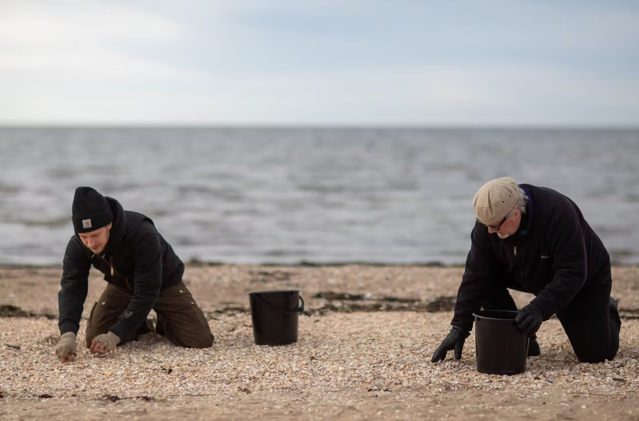 Shell collecting on local shores