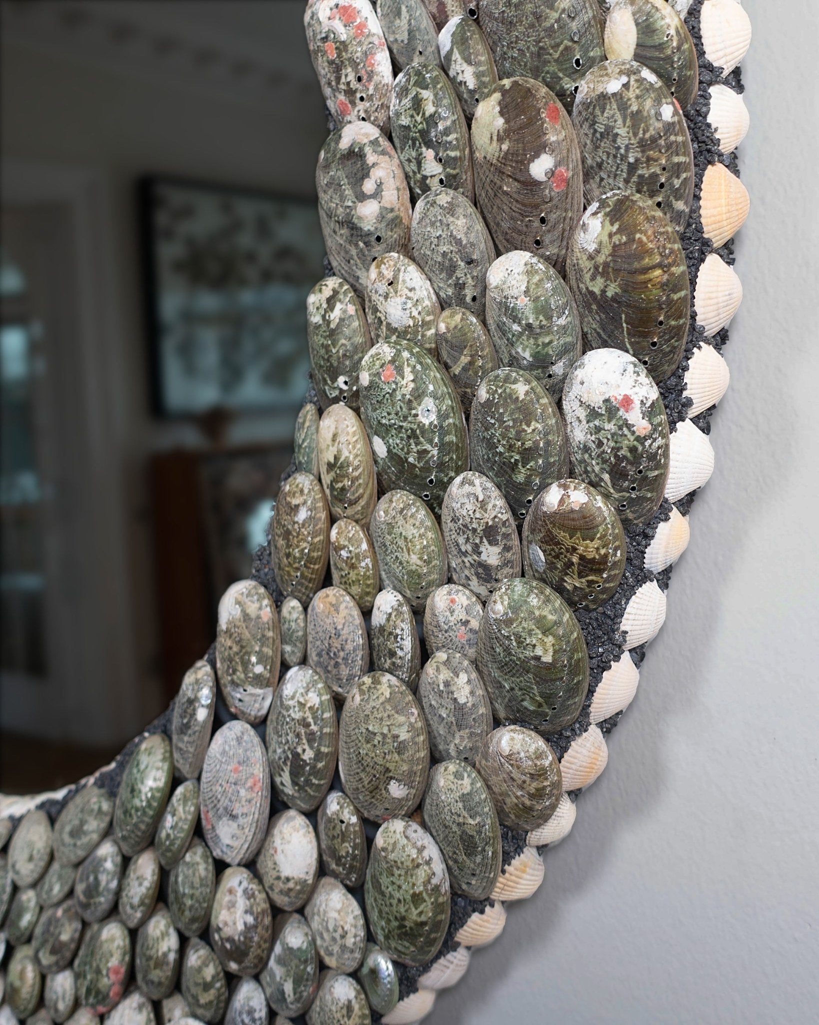 A PERFECT CIRCLE | Shell mirror | Shellman | Amsterdam | Natural art from sea and beach