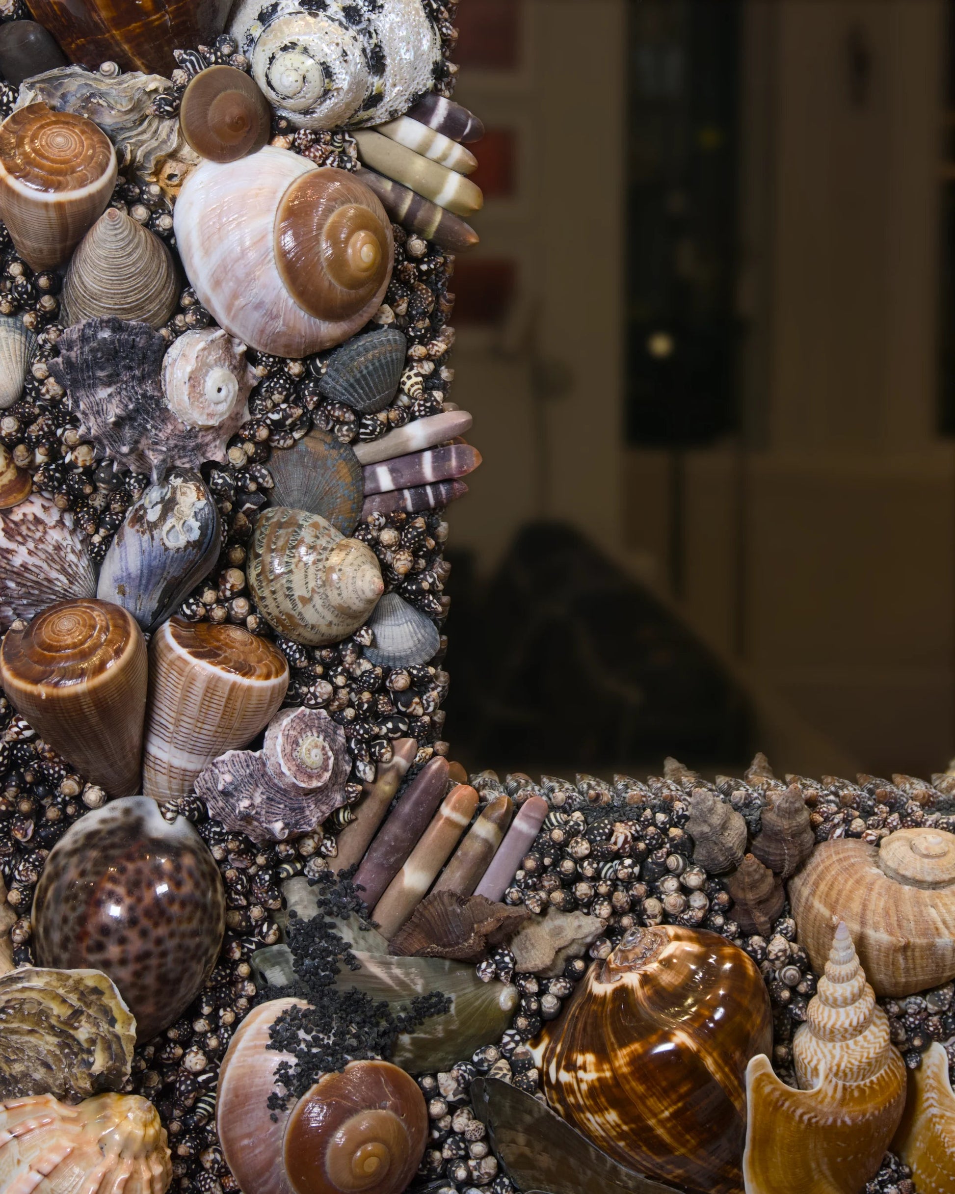 Back to Black | Shell mirror, 1 of 1 | Shellman | Amsterdam | Natural art from sea and beach