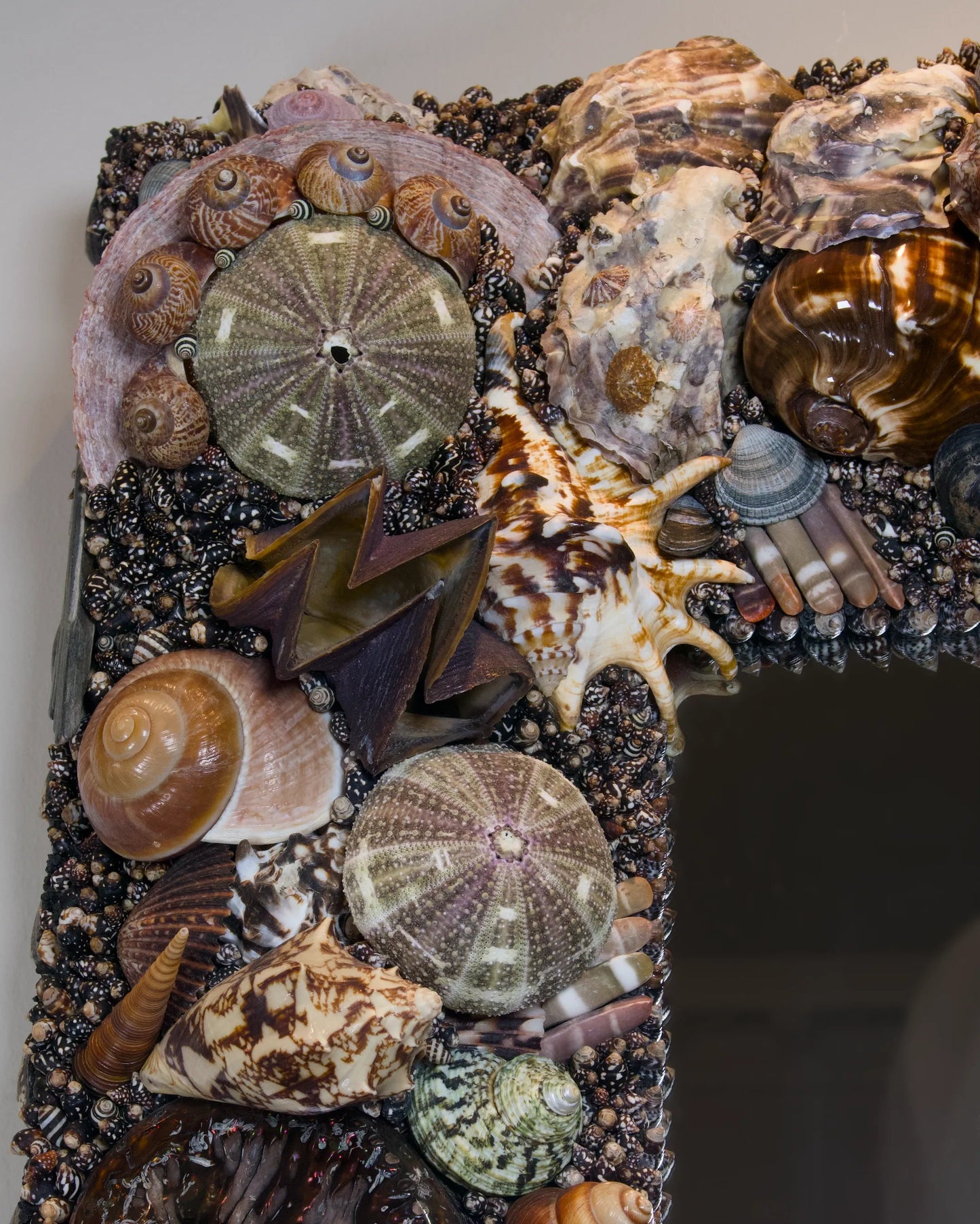 Back to Black | Shell mirror, 1 of 1 | Shellman | Amsterdam | Natural art from sea and beach
