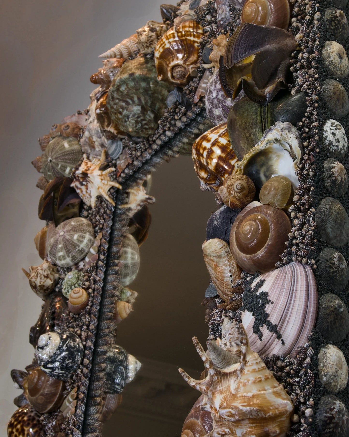Back to Black | Shell mirror, 1 of 1 | Shellman | Amsterdam | Natural art from sea and beach