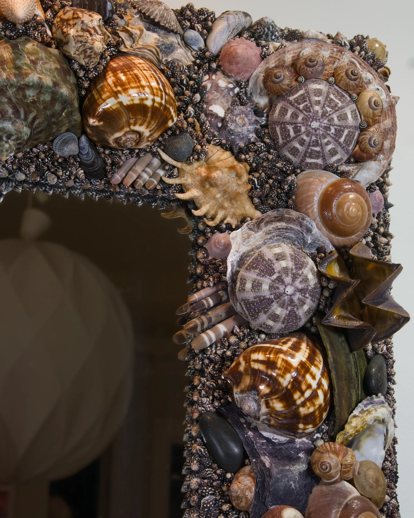 Back to Black | Shell mirror, 1 of 1 | Shellman | Amsterdam | Natural art from sea and beach