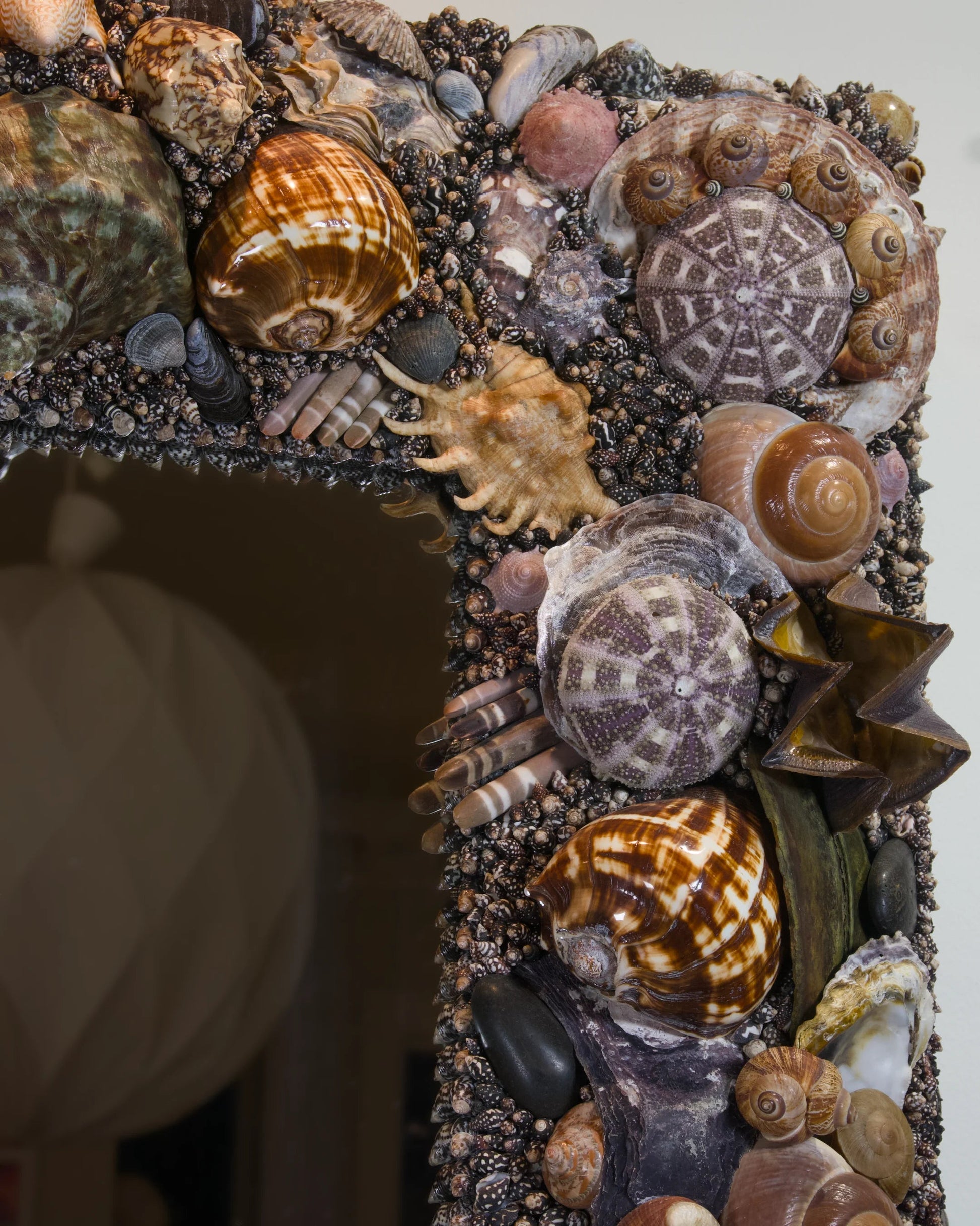 Back to Black | Shell mirror, 1 of 1 | Shellman | Amsterdam | Natural art from sea and beach