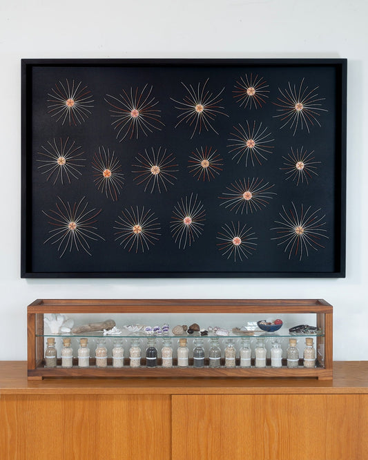 BIG BANG | Sea urchins, 1 of 1 | Shellman | Amsterdam | Natural art from sea and beach
