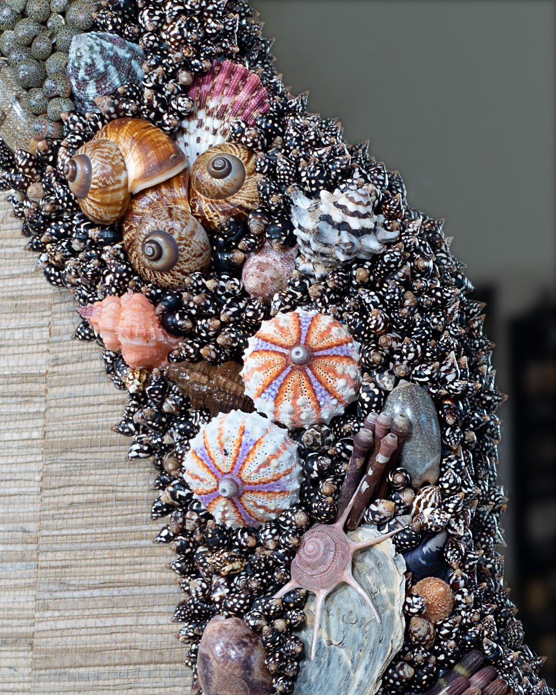 Black Panther | | Shellman | Amsterdam | Natural art from sea and beach