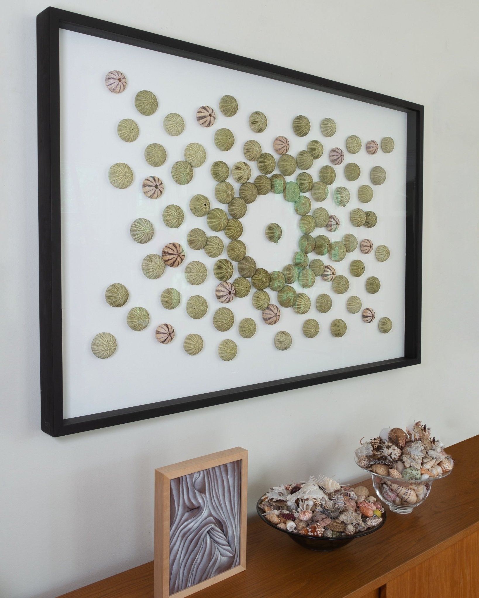 CENTER STAGE | Wall decoration, 1 of 1 | Shellman | Amsterdam | Natural art from sea and beach
