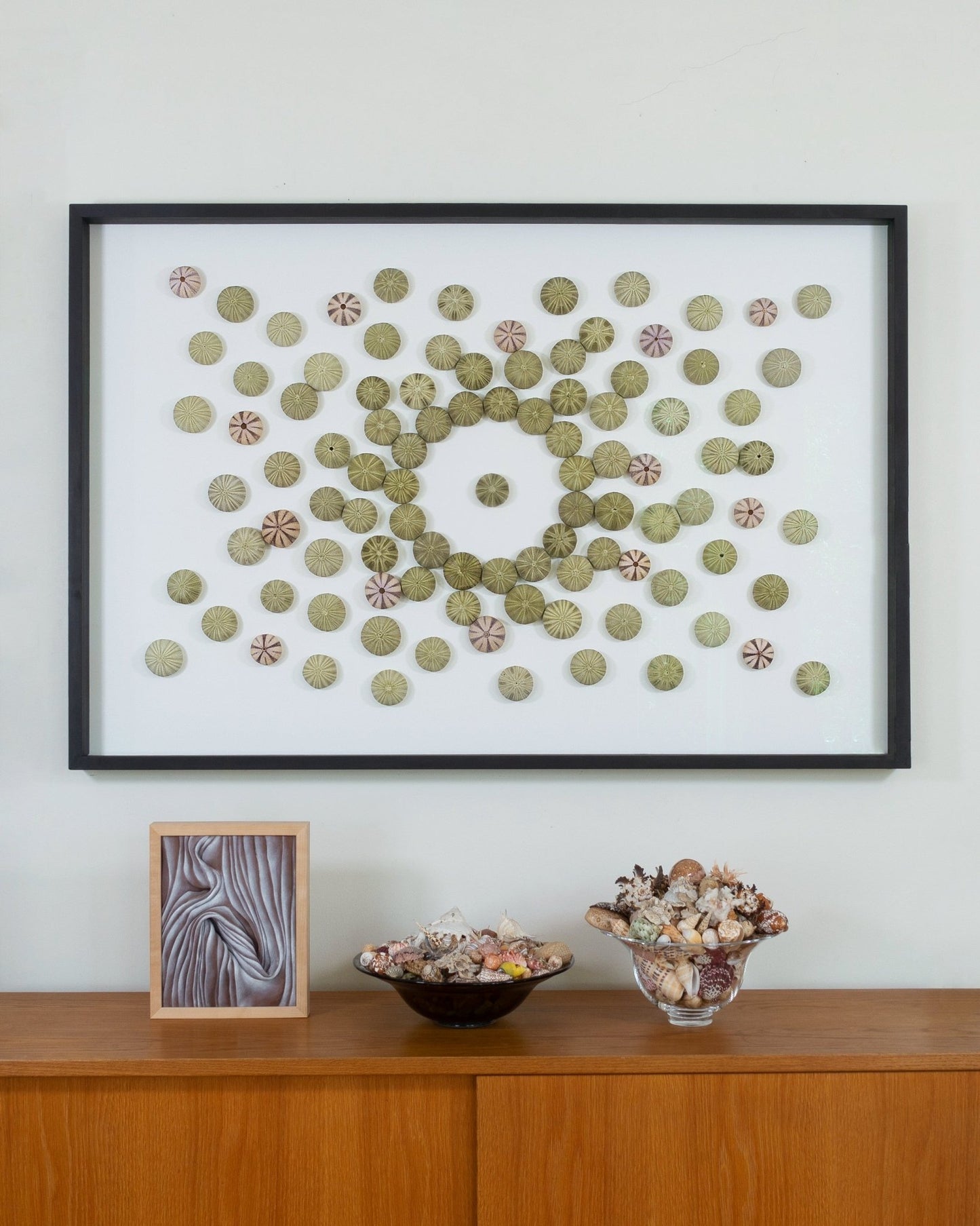 CENTER STAGE | Wall decoration, 1 of 1 | Shellman | Amsterdam | Natural art from sea and beach