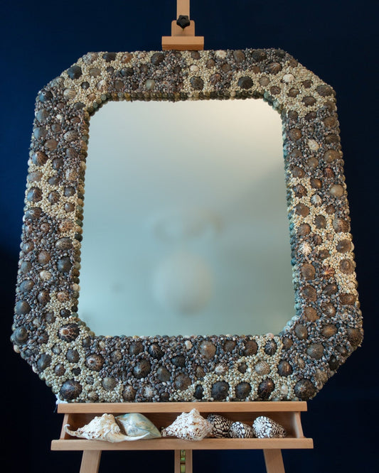 Cutting Corners Limpets | Shell mirror, 1 of 1 | Shellman | Amsterdam | Natural art from sea and beach