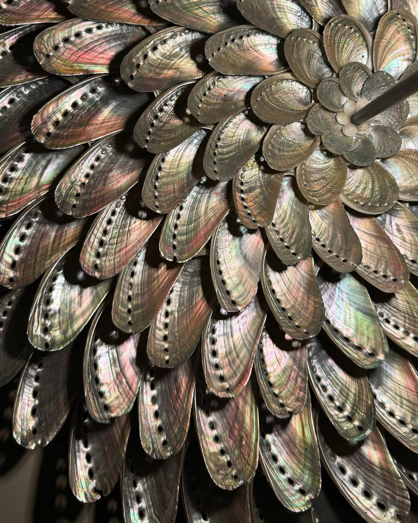 LUMI 45 | Light / Wall Decoration | Shellman | Amsterdam | Natural art from sea and beach