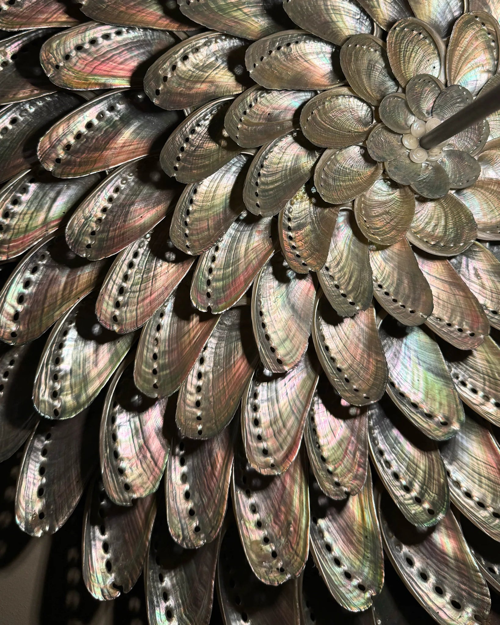 LUMI 45 | Light / Wall Decoration | Shellman | Amsterdam | Natural art from sea and beach