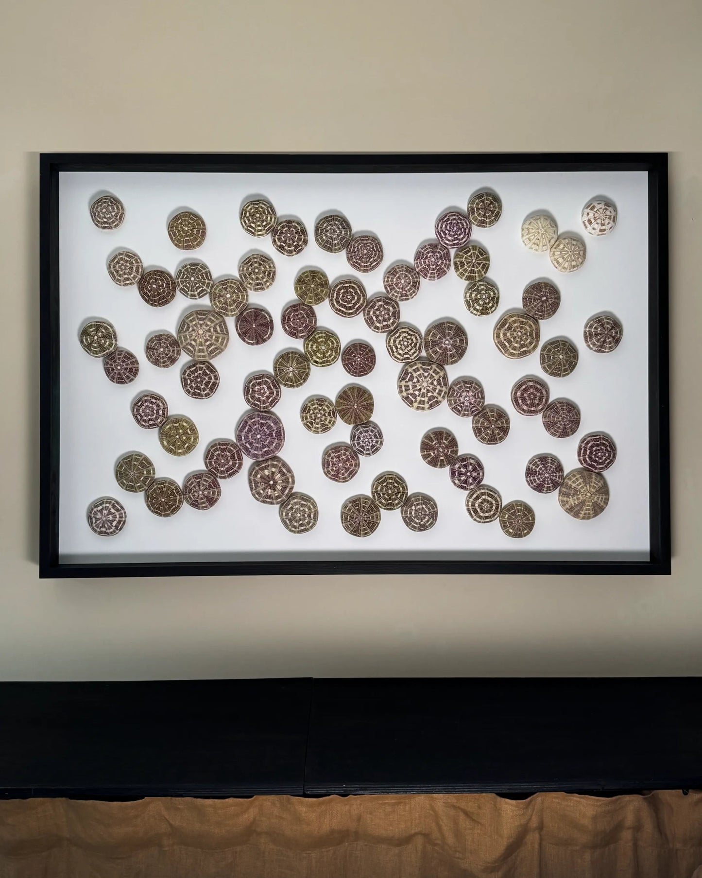 LUMINOUS NO.3 | Light / Wall Decoration, 1 of 1 | Shellman | Amsterdam | Natural art from sea and beach