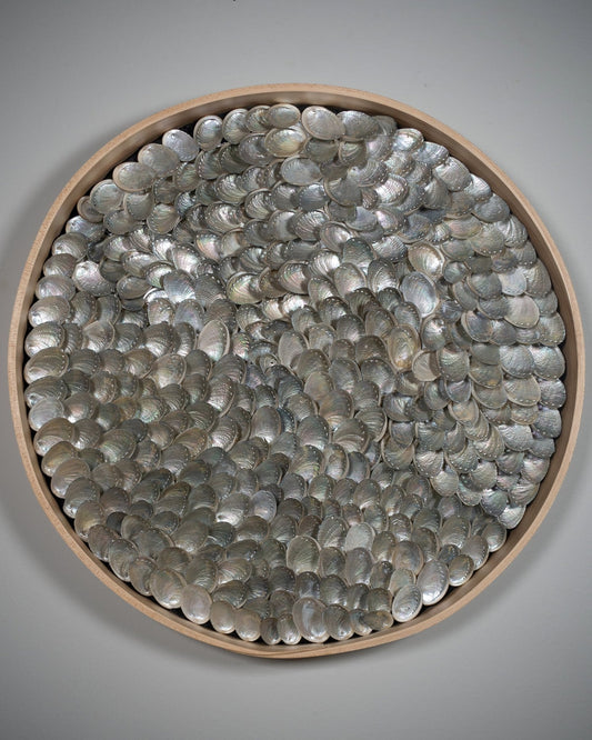 MAPLE FLOW | Light / Wall Decoration, 1 of 1 | Shellman | Amsterdam | Natural art from sea and beach