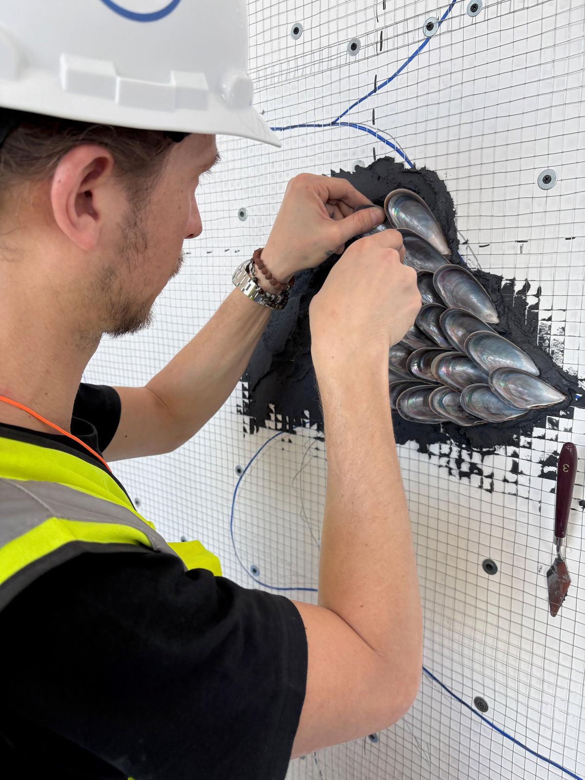 Buster Eriksson placing the first mussel shells on black mortar on the mesh-covered wall