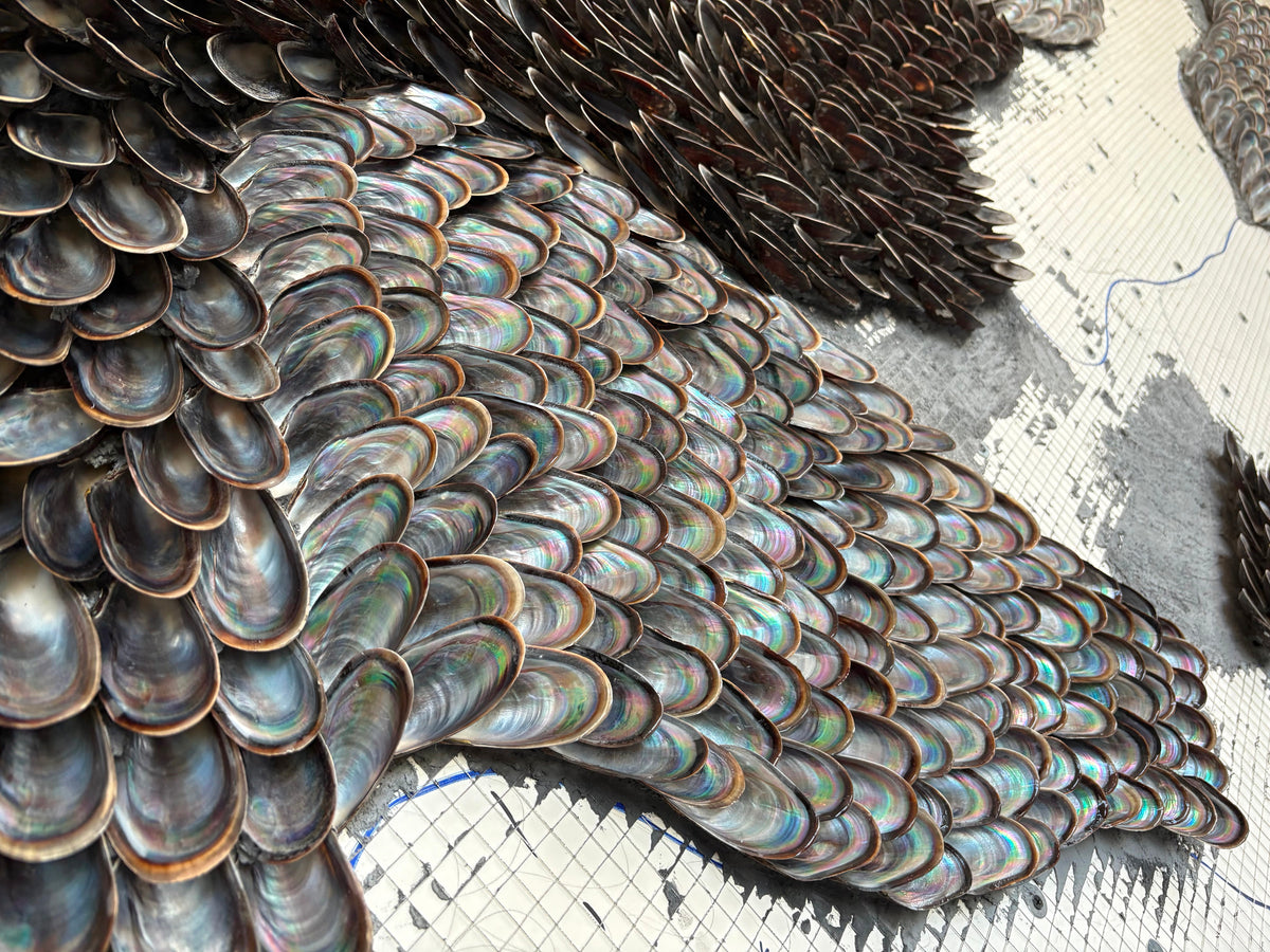 Detail of mussel shells laid on black-tinted mortar at the edge of the growing section