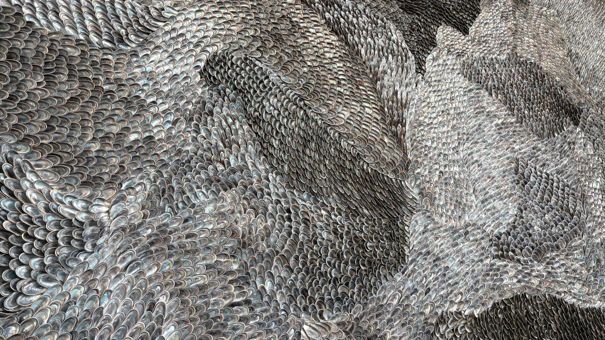 Close-up of the wave-like flow of mussel shells across a finished section