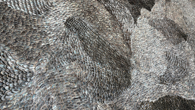 Fields of Mytilus — shell art installation by Shellman Scandinavia
