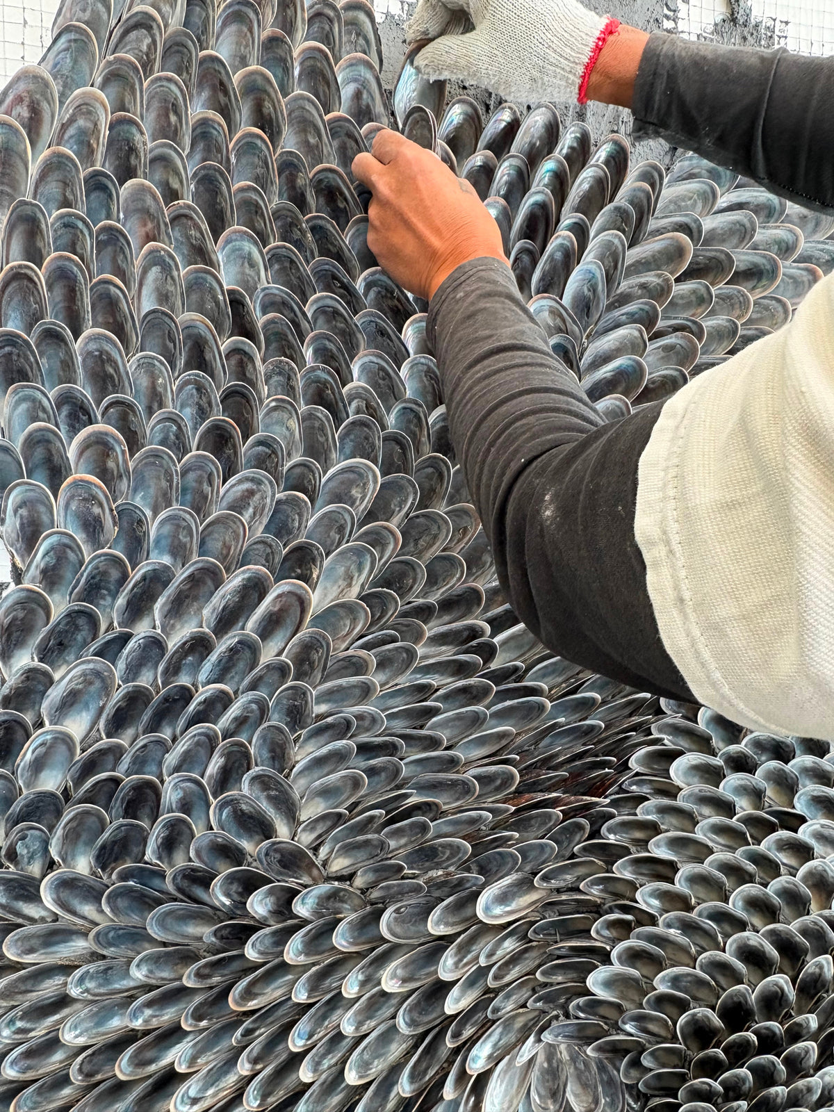 A team member's hands placing mussel shells on the wall