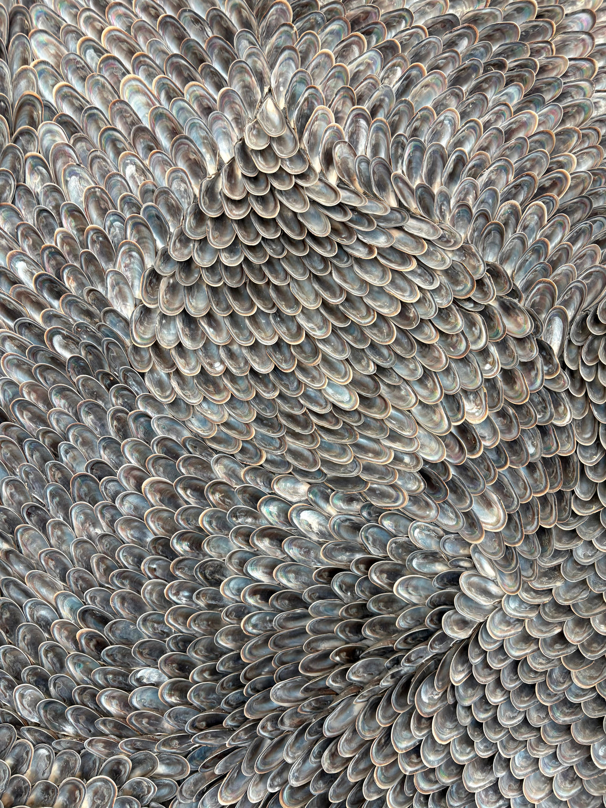 Detail of the shell surface showing individual mussel shells and their flow