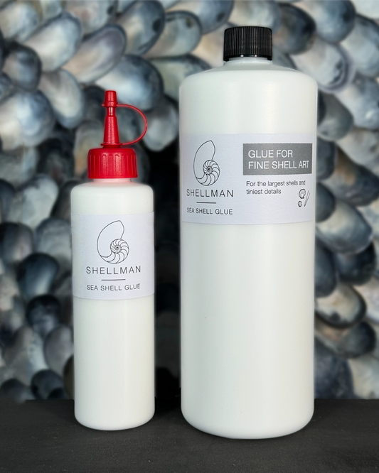 Shellman Sea shell glue Combo kit