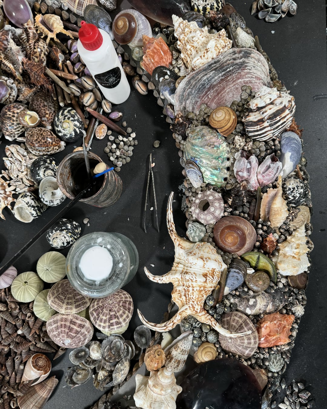 Shellman Sea shell glue 250ml work in progress