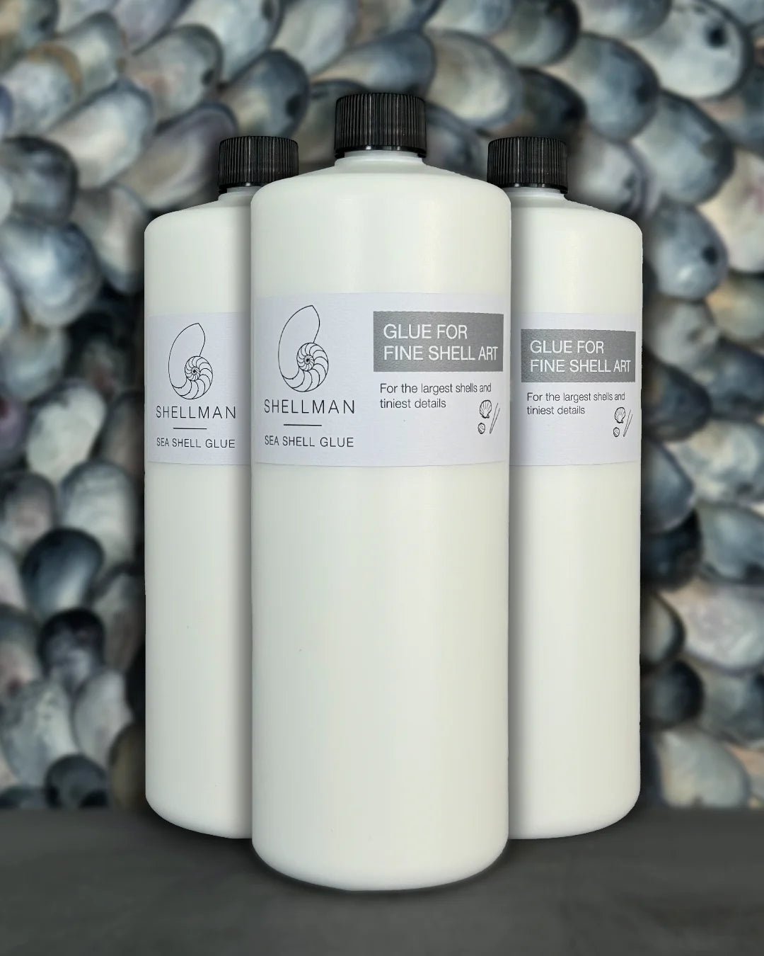 Sea Shell Glue | DIY | Shellman | Amsterdam | Natural art from sea and beach