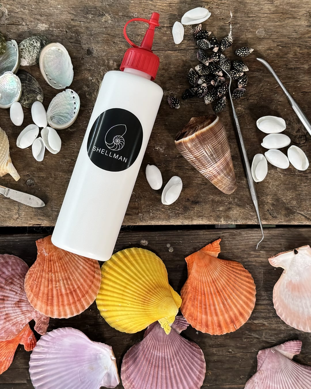 Shellman Sea shell glue 250 ml bottle in work