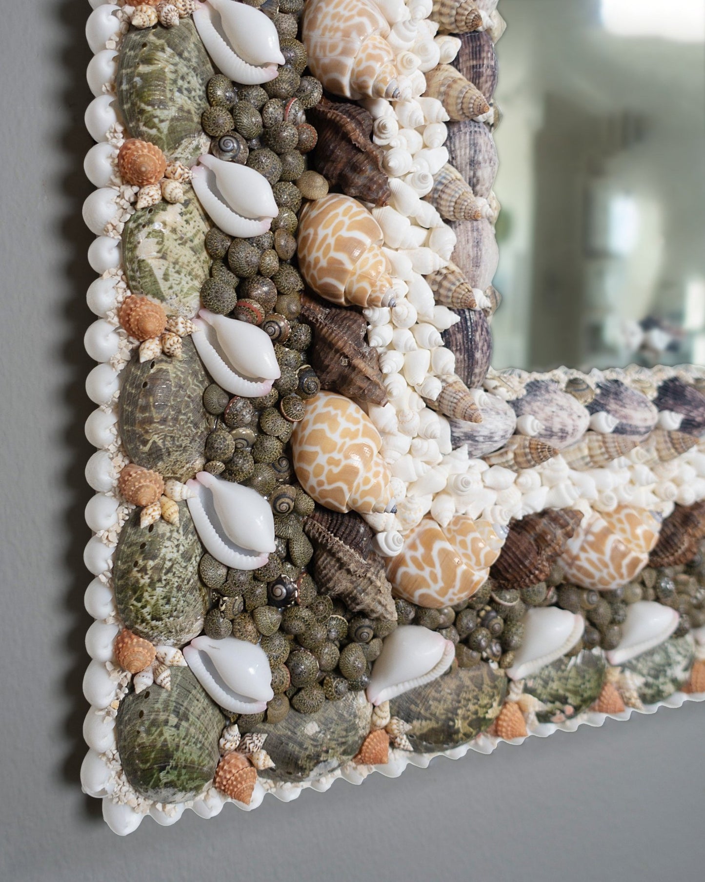 Straight Lines | | Shellman | Amsterdam | Natural art from sea and beach